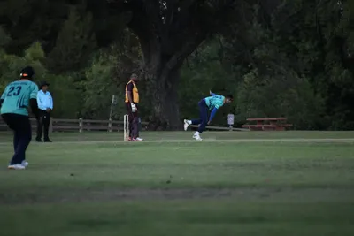 DSC_2414 (Large).JPG